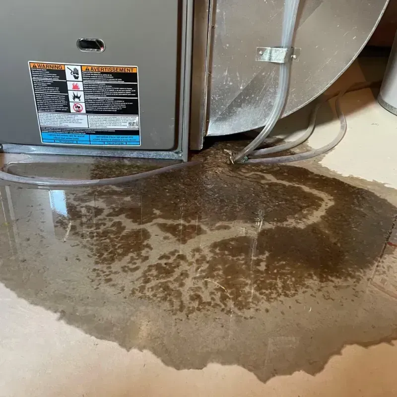 Appliance Leak Cleanup in Clay County, SD